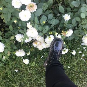 Meet your Posher, Julie